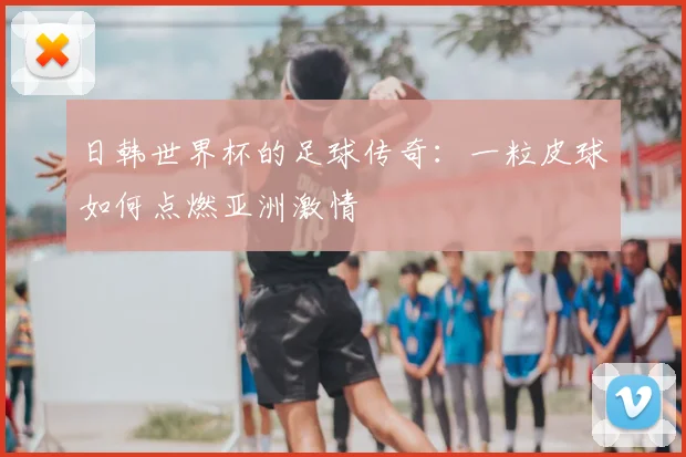 日韩世界杯的足球传奇:一粒皮球如何点燃亚洲激情