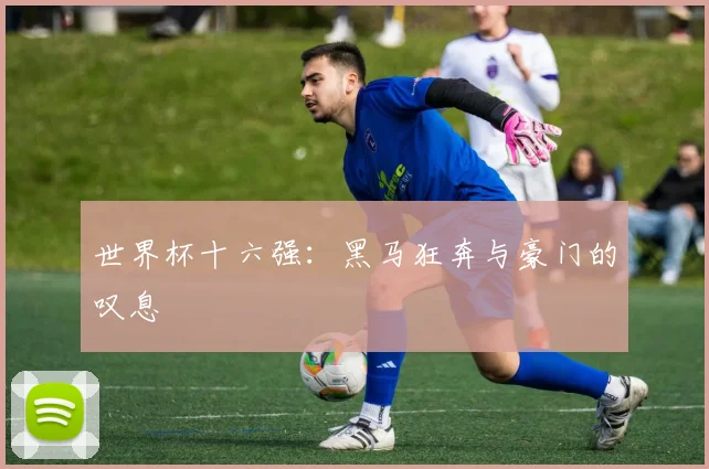 世界杯十六强：黑马狂奔与豪门的叹息